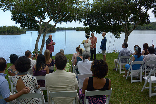 �e�C���[�܂�����񌋍���