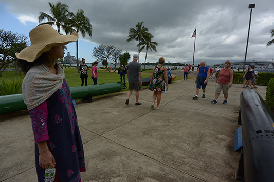 �p�[���n�[�o�[