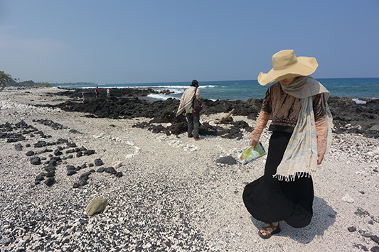 �n���C���r�[�`