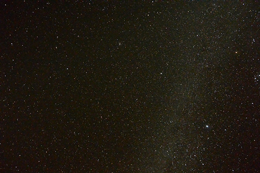 ���肪�Ƃ��A�͂���ߍ�