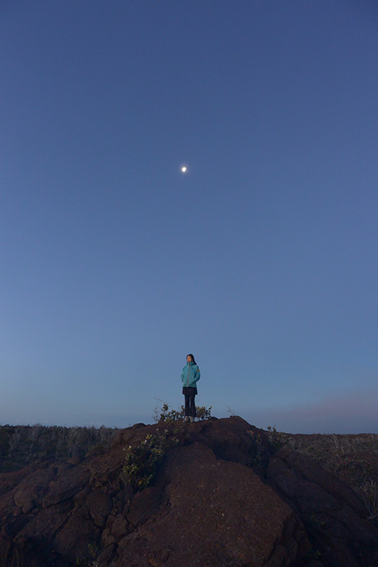 �{���P�[�m���������ɂăL�����v