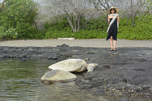 �{���P�[�m���������ɂăL�����v