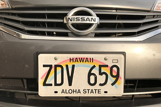 �n���C�̃i���o�[�v���[�g����