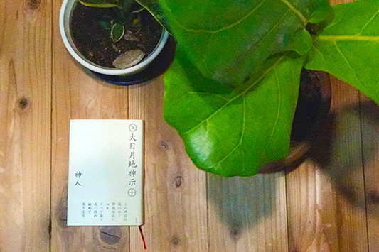 ������n�_��