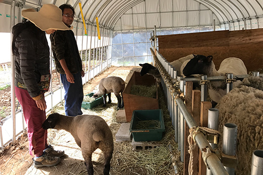 ����������