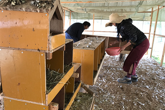 �j���g��������