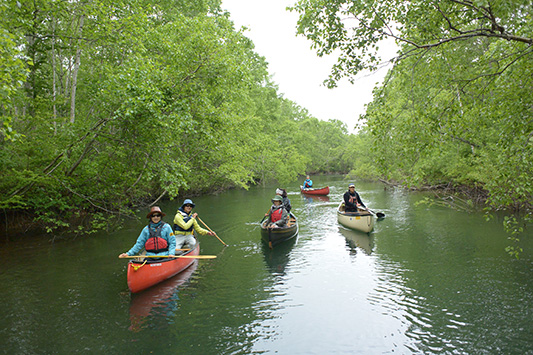 ���H�쌹����