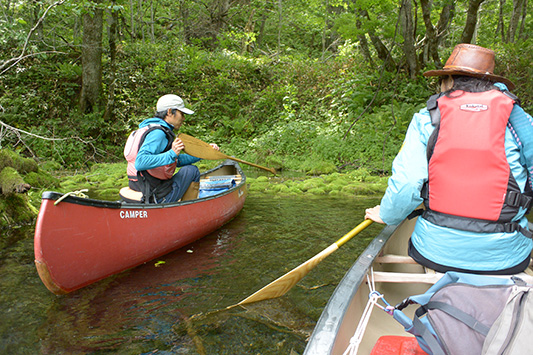 �ē������Ă����W�������