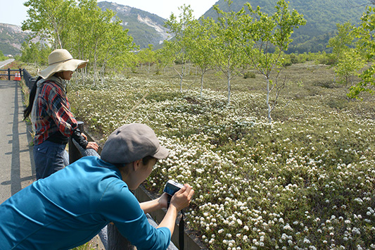 �G�]�C�\�c�c�W