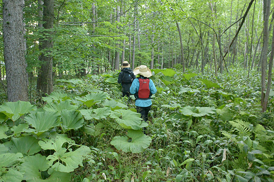 ���L����y�n