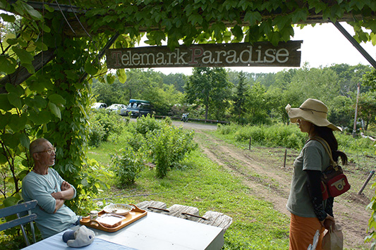 �a�J�����