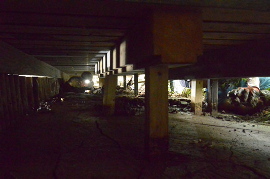 �����ɐ���P�C�X�P����