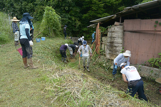 ���̓���ʂ����