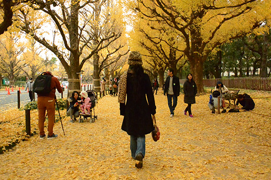 ��Ǖ��؂����