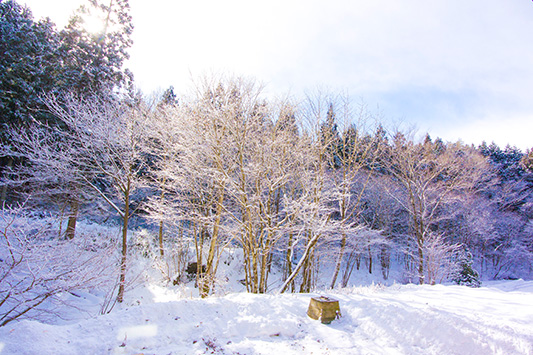 ��̂��b��