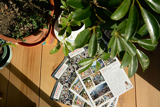 �I�[�v���W���p���񍐏�