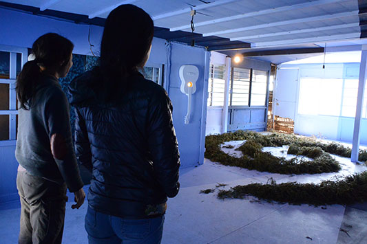 �z���z���X�g�A�̌������ɂ���M�������[�H