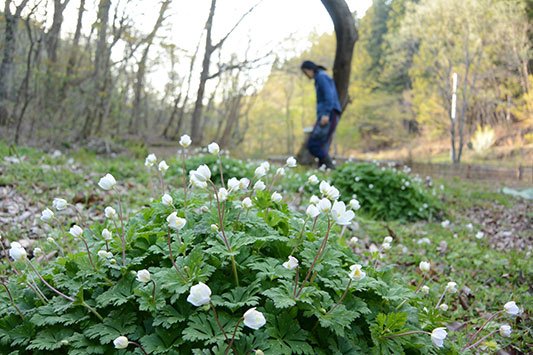 ��֑��A���Ђ����ɂ��ĐH�ׂĂ��܂�