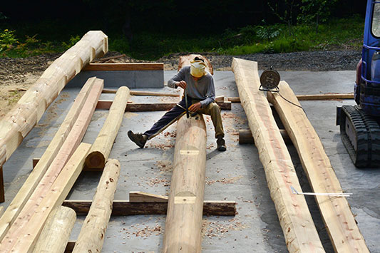 ���ށA����