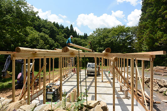 �ꉮ����{��{�グ�Ă����܂��B