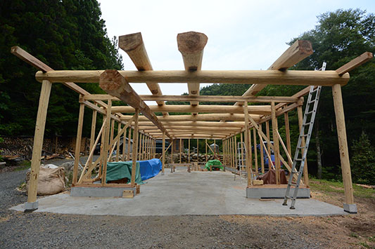 DAY6�{���͂����܂�