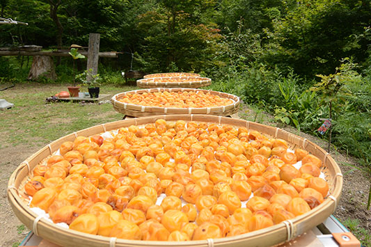 ���N���~����