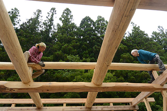 �C�ɂȂ�p��B