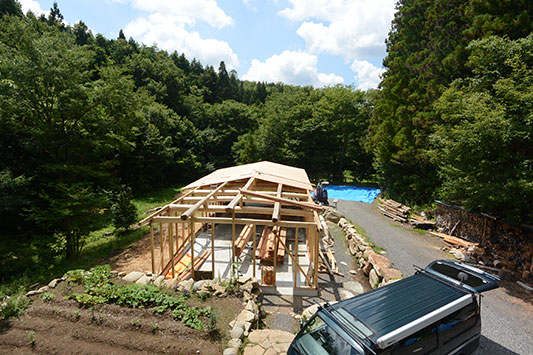 ���͂���Ȋ����B