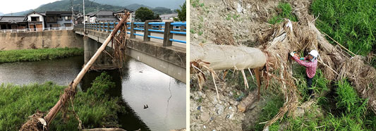 ���ؔ���