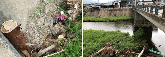 ���ؔ���