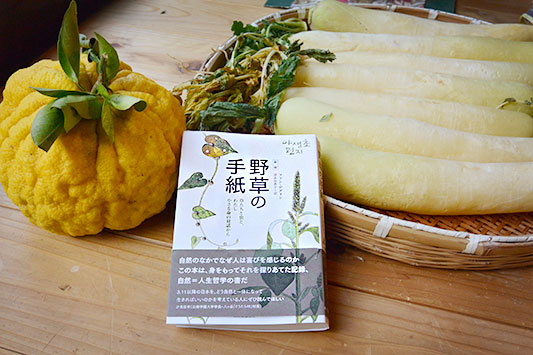 �J�����_�[�����