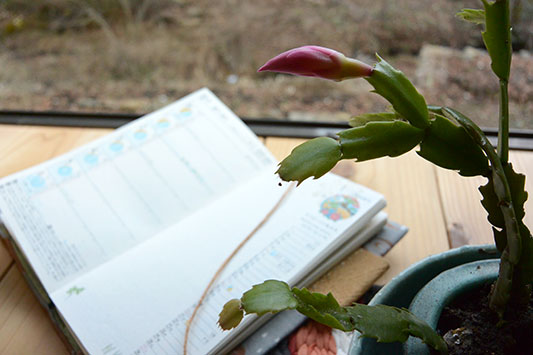 ���̎蒠�E��̂��b��