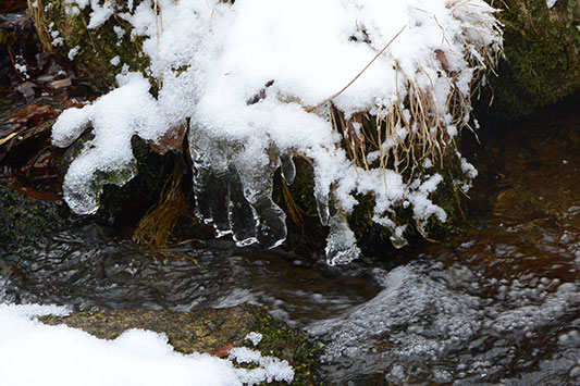 ����݂�������߂�B