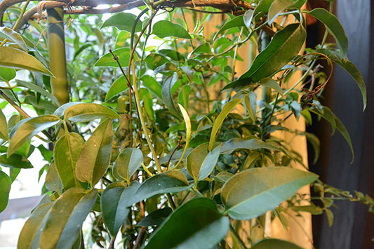 �Q�O�P�X�N�̔N���