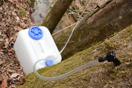 �J�G�f�̎��t���̎悷��