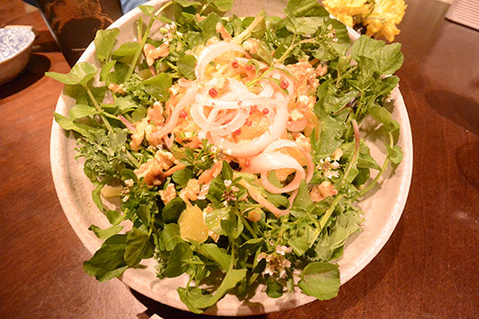 �쑐�̃T���_