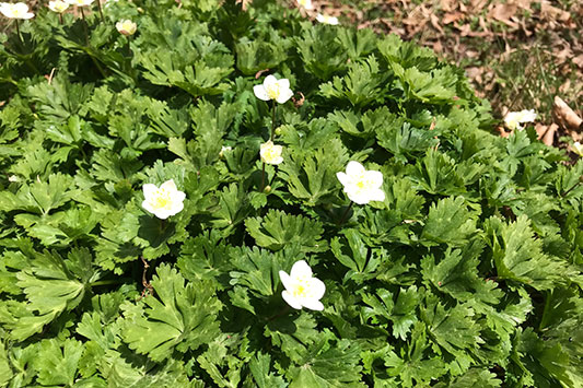 �j�����\�E