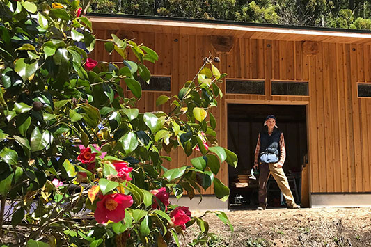 �c�o�L�Ə�