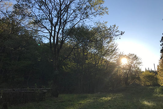 ���Ă̑��z