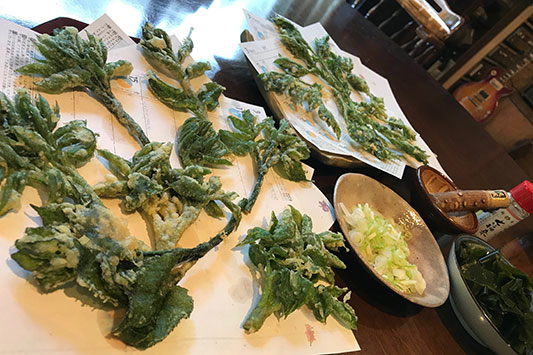 �E�h�̓V�Ղ�