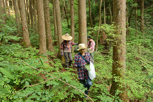 ����ɂȂ�\��̍�