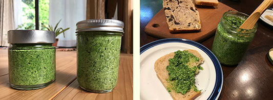 ���f�B�b�V���̗t�Ƒ卪�̗t�̃W�F�m�x�[�[