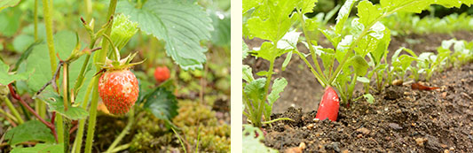 �������Ɠ�\���卪