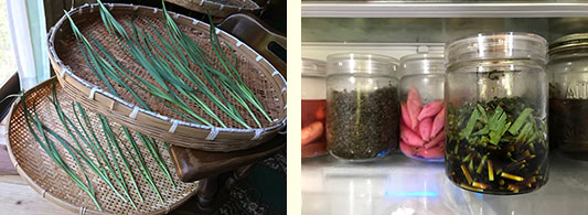 �j���̓j���ݖ���