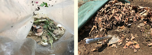 ���S�~�̎g����