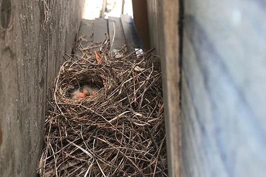 �q�i���z��܂���