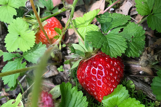 ���������ł��܂����B