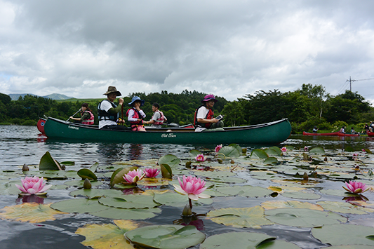 �J�k�[�̌�