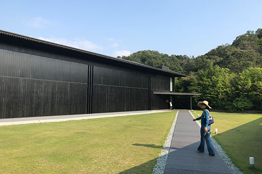 �X�̒��̉� ��������