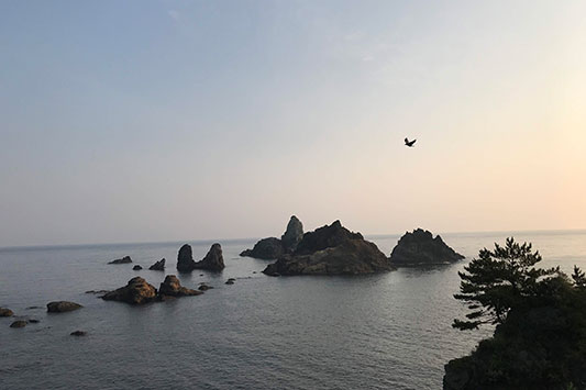 �[������߂��̓��{�C�̕��i